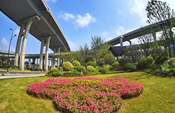 宁波市建润市政-“三路”高架桥绿化美化工程IV标段